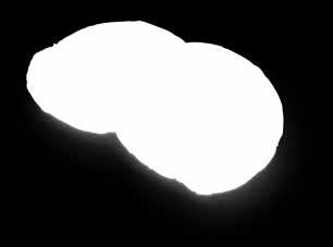 90 20,90-19 % Donut* 58 g 100 g