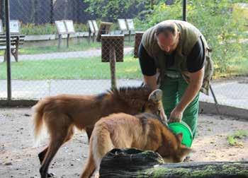 propa PROPAGACE V roce zaznamenala hodonínská zoologická zahrada rekordní návštěvnost, která je rok od roku vyšší.