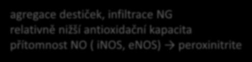 agregace destiček, infiltrace NG relativně nižší antioxidační kapacita přítomnost NO ( inos, enos) peroxinitrite high