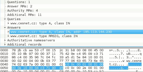 DNS Resource Record udržován v cache po dobu TTL názvy domén jako spojový seznam labels komprese opakujících se