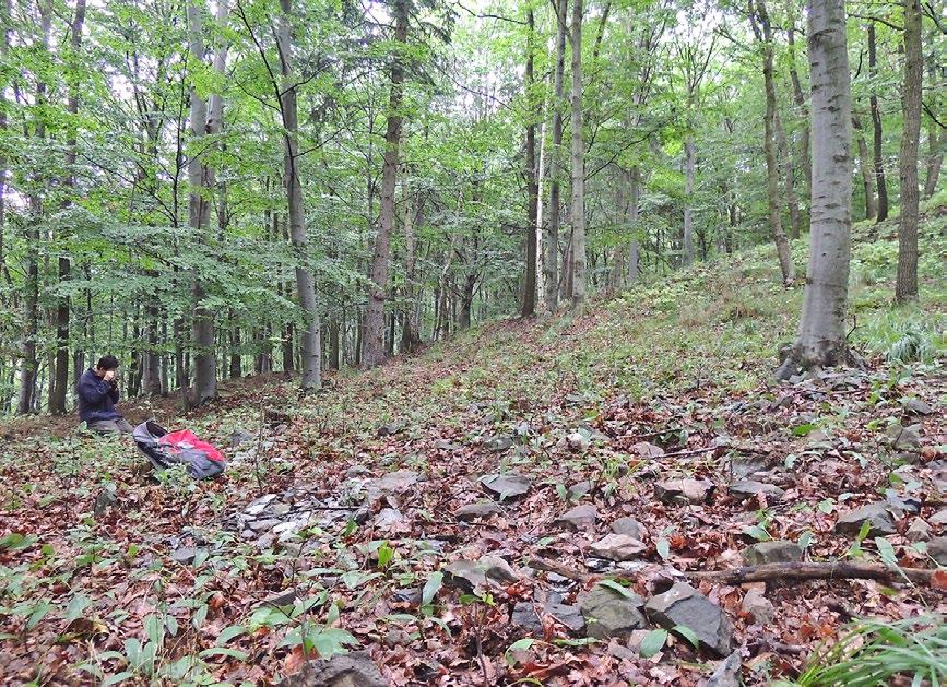 Je drobně a řídce porfyrická, vyrostlice v ní tvoří izometrická zrna tmavomodrého haüynu o velikosti až 3 mm.