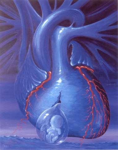 Srdce 3: Vývoj srdce a cév, VVV, prenatální cirkulace Vývoj srdce Vývoj cévního řečiště Mechanismus vzniku nejčastějších