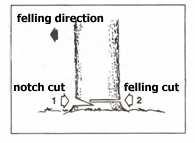 SAWING WARNING! Before proceeding to your job, read For Safe Operation section. It is recommended to first practice sawing easy logs. This also helps you get accustomed to your unit.