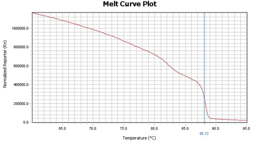 Ověření qpcr