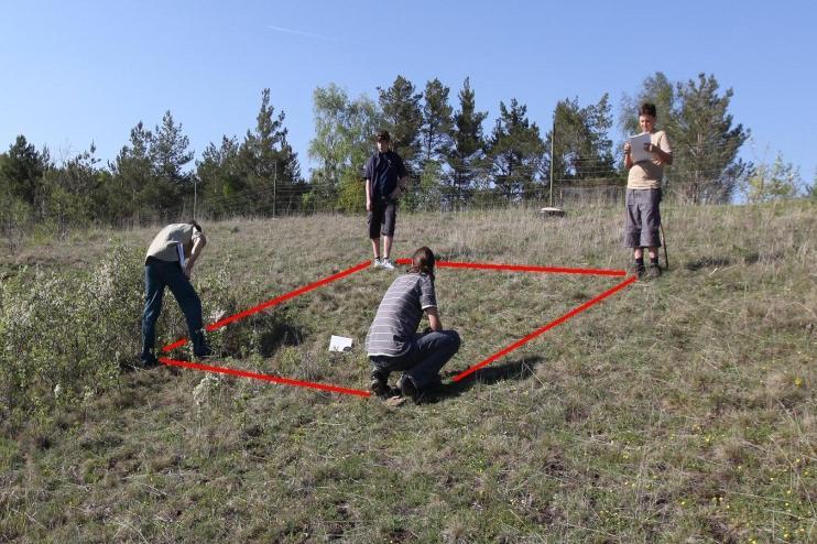 Je to také velmi suchá oblast a z tohoto důvodu zde rostliny trpí nanismem (rostlina je velice malá, kvůli