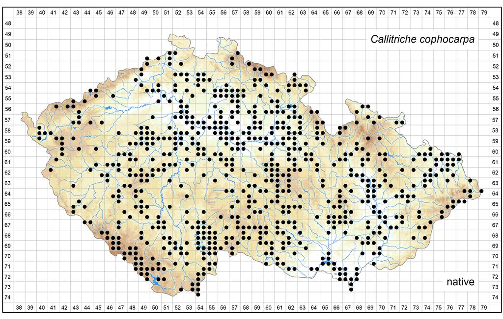 Distribution of Callitriche cophocarpa in the Czech Republic Author of the map: Jan Prančl Map produced on: 26-10-2018 Database records used for producing the distribution map of Callitriche