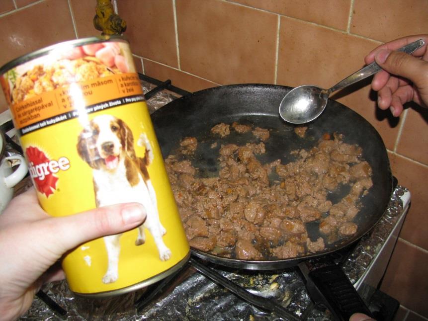 DOG-FOOD