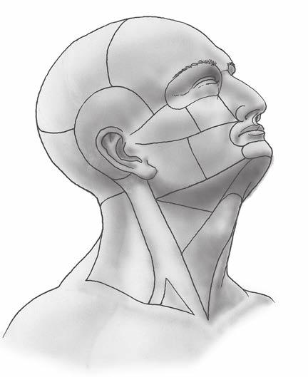 9 1 Regions of the head, regiones capitis The head can be subdivided into neurocranium (the calvaria) and splanchnocranium (the face).