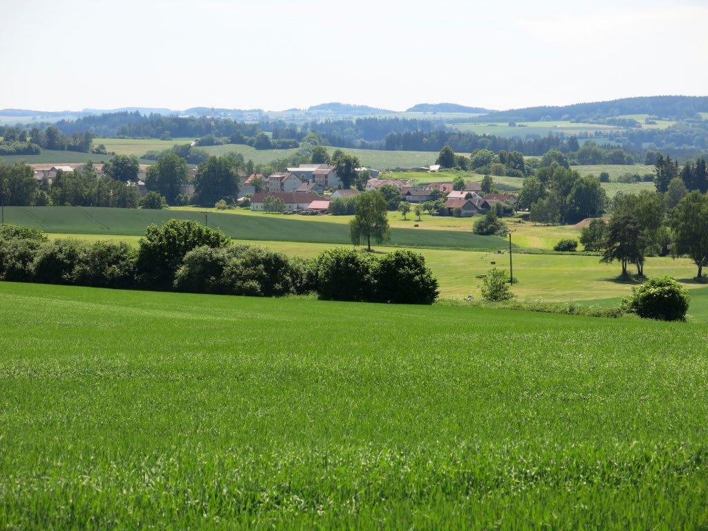 Pokusná lokalita