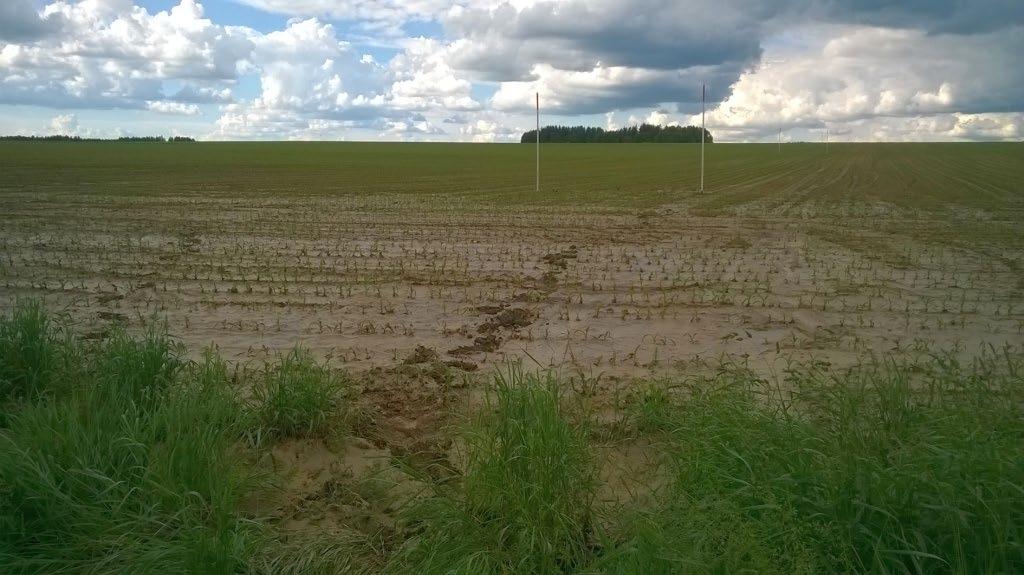 Vyplavování pesticidů pod rizikovou plodinou -