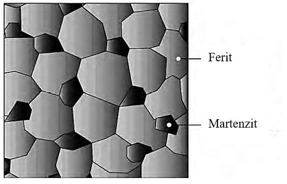 obr. 5 Schématické zobrazení mikrostruktury dvoufázové oceli [2] Měkká feritická fáze dává materiálu vysokou tvárnost.