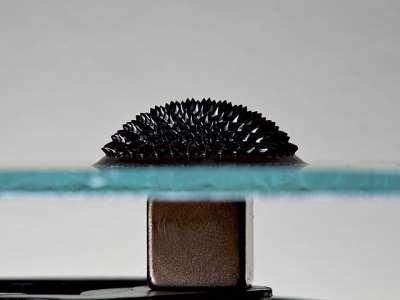 Ferrofluid Koloid magnetických nanočástic v kapalném médiu