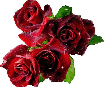 Společenská rubrika Blahopřejeme V listopadu má své narozeninové výročí paní Růžena Uhrová