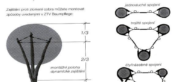 Druh vázání, který bude použit při konzervaci a při zajištění biomechanické vitality stromů je tzv. dynamická pojistná vazba.