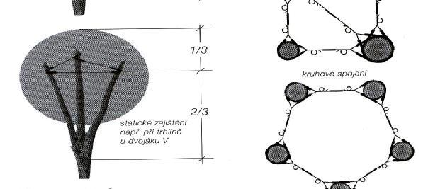 Při použití systémů ze syntetických materiálů dochází k minimálním destrukčním účinkům dřevin, protože použité syntetické materiály disponují mnoha důležitými vlastnostmi: Elasticita vysoká odolnost