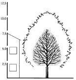 SORTIMENT POUŽITÝCH DŘEVIN: Tilia cordata Greenspire Středně velký strom dosahující výšky 15-19 m. Pravidelně rostoucí koruna, široce kuželovitá a hustě větvená s průběžným kmenem.