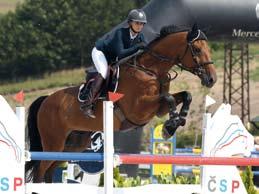 CSI 3 * W Olomouc 22.- 25. 6. 2017 Dartaňan - Tina Šalková, foto Zenon Kisza závodech startovali i plemenní hřebci přihlášení k naší PK CS, jako např. Carison a Quimero M. O. Zvára s Quimerem podali vynikající výkon v hlavní soutěži GP 160 cm a s 1 chybou skončili 23.