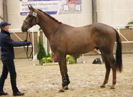 Ramiro-47), foto Martina Kůstková 94 Rande