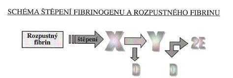 Nízkomolekulární štěpy nemají velký význam, jsou odbourávané monocyto makrofágovým systémem. [18] Obrázek 7 Schéma štěpení rozpustného fibrinu.