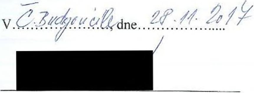 rámei své podniktelské činnosti*).