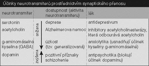 Důsledek obecné chemické sensitivity neuronů: