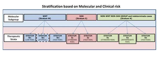 Risk-Directed Therapy for