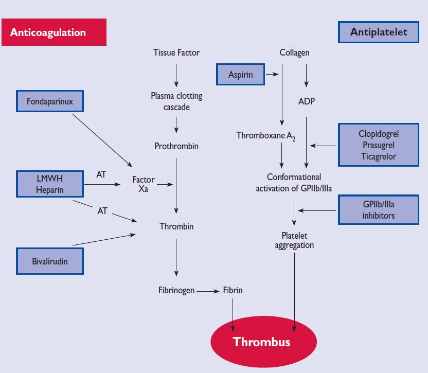 Antitrombotická léčba