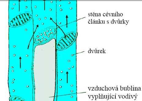 počasí (a v zimě vymrzáním + nižší rozpustnost plynů v ledu) -