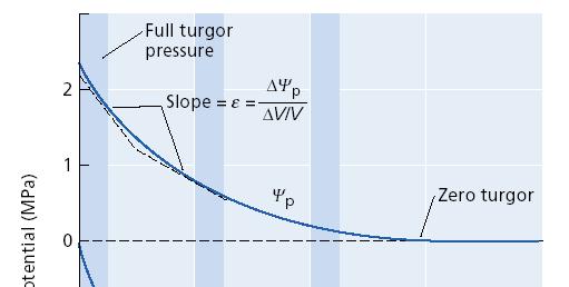 Höflerův diagram vadnutí Změna hodnot složek vodního potenciálu v