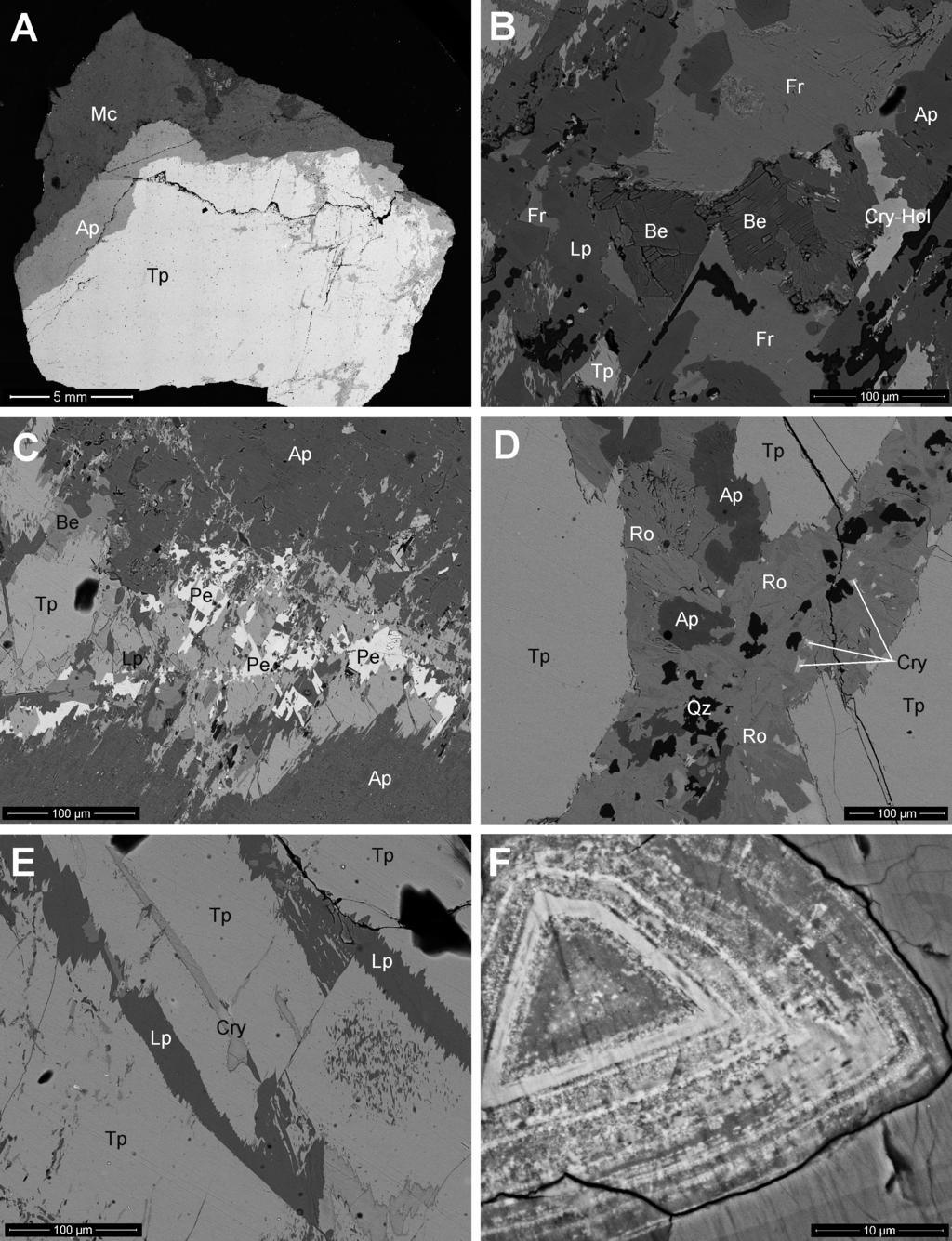 Bull. mineral.-petrolog. Odd. Nár. Muz. (Praha) 24, 1, 2016. ISSN 1211-0329 (print); 1804-6495 (online) 85 Obr. 4 Fosfáty zobrazené pomocí zpětně odražených elektronů v SEM.