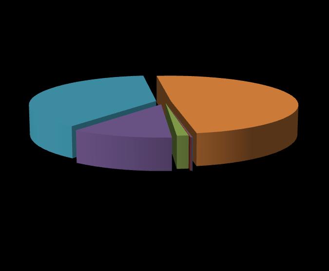 Přijaté transfery (dotace) účelové dotace státní 15 065 517 Kč 38% účelové dotace kraj 4 564 298 Kč 12% na výkon státní správy 19 572 938 Kč 49% účelové dotace státní fondy 526 603 Kč 1% účelové