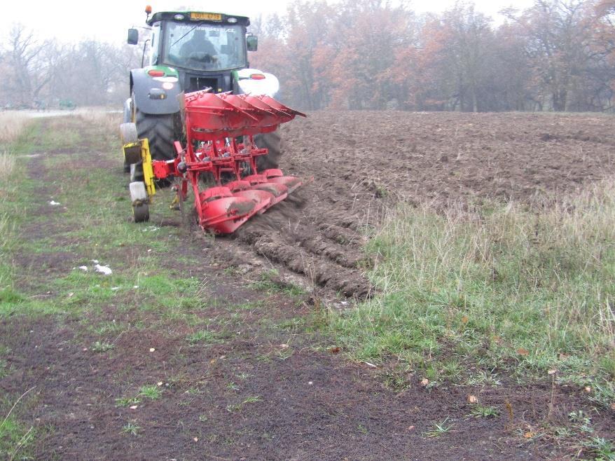 a rychle na to dlouhé suché období) bylo možné pole zrýt hlubokou orbou