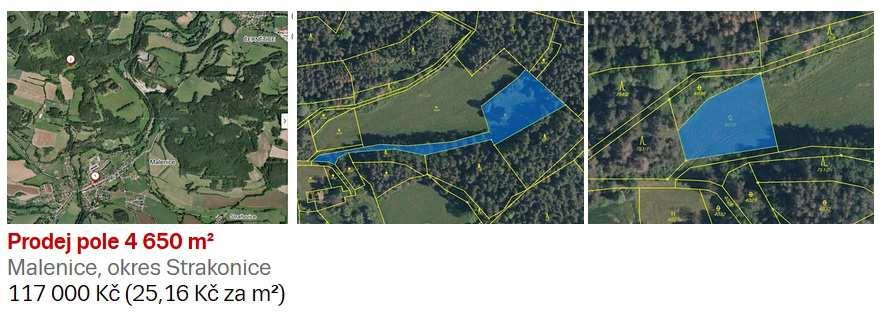 a.3 ) Pozemek ( pole) v obci