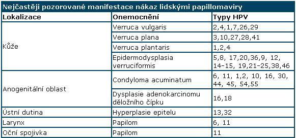 HPV nejčastější původce sexuálně přenosných onemocnění infekce vysoce rizikovými high-risk sérotypy HPV (HR HPV) spojena s rizikem rozvoje karcinomu: - děložního hrdla - vaginy - vulvy - anu - penisu