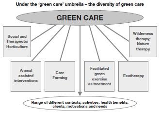 Druhy Green Care Sociální a terapeutické zahrady Animoterapie, zoorehabilitace Sociální zemědělství Cvičení v