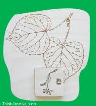 zvířata + jejich stopy a dřevěné karty na přiřazování listů k habitu stromů.