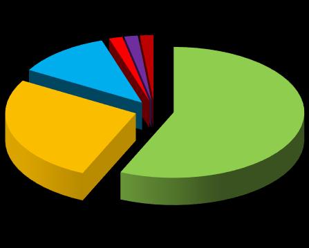 Ohrožení nemocí z povolání - 60 případů nemoci nervů z přetěžování 34 2% 2% 2% nemoci nervů z vibrací 16 11%