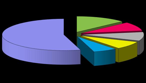 Nejvyšší zastoupení profesionálních onemocnění podle jednotlivých odvětví ekonomických činností CZ NACE v roce 2018 55% 13% 9% 9% 6% 8% C29 Výroba motorových vozidel 169 Q86 Zdravotní péče