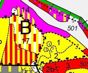 Zastávka č. 4 - porost 7B17, 17B2 Obnova pod porostem (por. sk.