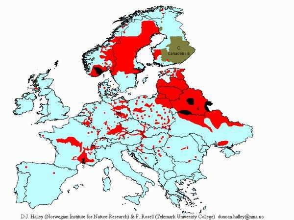 Tab. 4 Vývoj počtu teritorií 2010 Monitoring populace bobra evropského v ČR, 2010, Vorel a kol., nepubl.