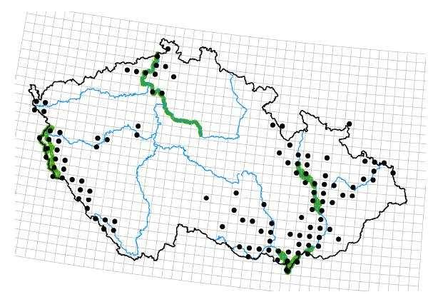 Obr. 15 Rozšíření bobra v ČR (2010) Monitoring populací bobra evropského v ČR pro rok 2010, Vorel a kol., nepubl. Zeleně jsou vyznačeny A zóny ochrany bobra. Viz další kapitola. 3.