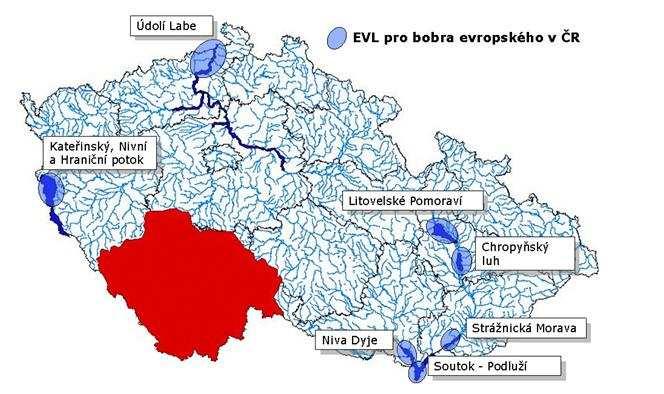 Zóna B: Do této zóny budou automaticky zařazena všechna ostatní území po vymezení zón A a C. Zde je počítáno s možnými kolizemi mezi zájmem zvířat a lidí. Hlavně z vodohospodářského hlediska.