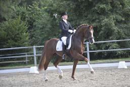 de Semilly Carthina Z Nabab de Reve Qerly Chin Landgraf I Loanda Voltaire Elottie W Kaiser Karl Oldb. *2003 168 cm ch.: m.