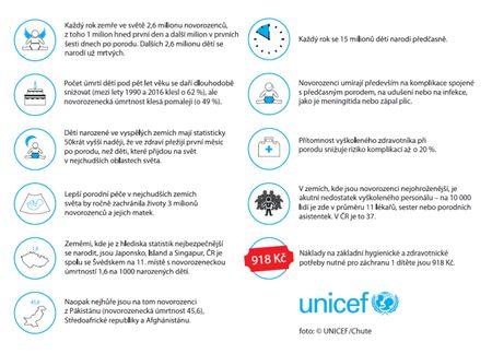 Spolu s touto žádostí jsme našim dárcům ve formě pohlednice zaslali fotografii UNICEF ve formě pohlednice, na níž byla uvedena základní fakta o novorozenecké úmrtnosti.