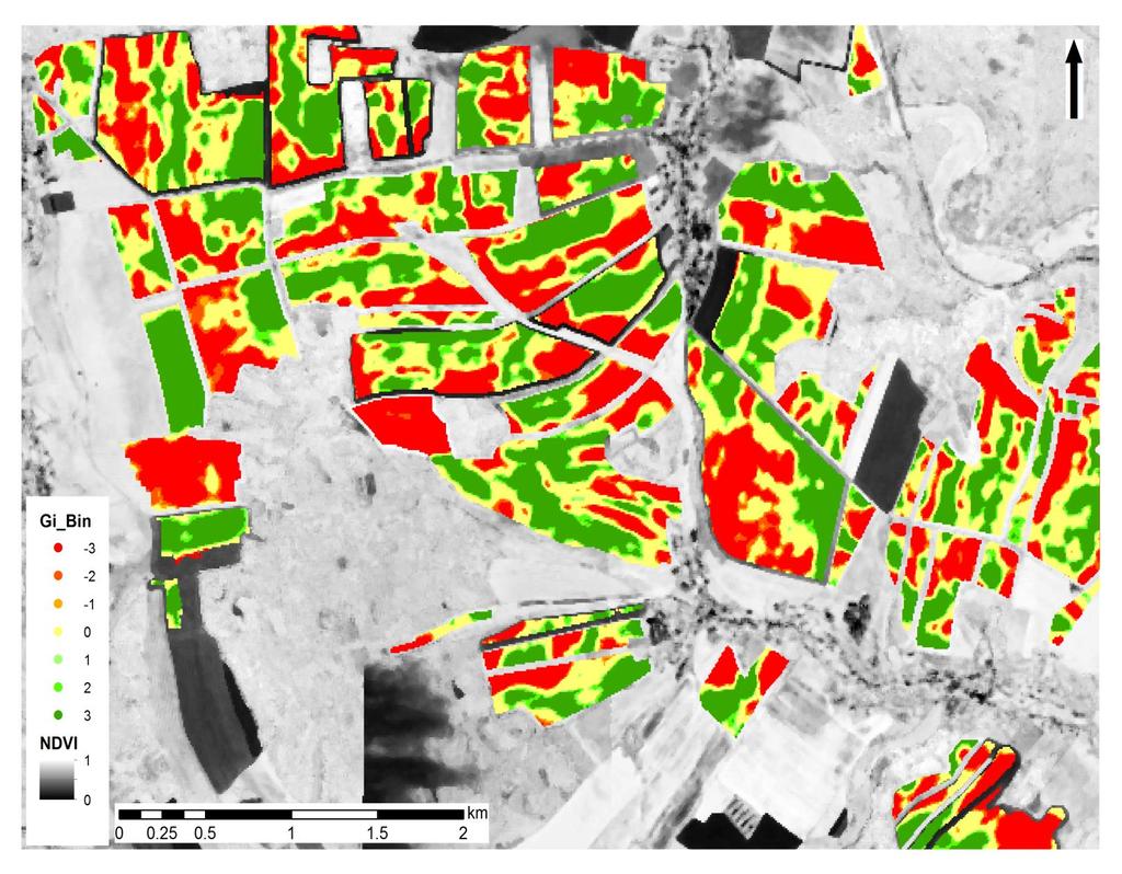 Hodnocení heterogenity obsahu dusíku vegetace v půdním bloku HotSpot analýza variability množství dusíku v nadzemní