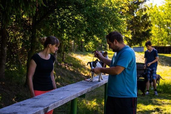 Délka jednoho kurzu je stanovena na 12 výcvikových lekcí, což vychází na tři měsíce na jaře (duben červen) a podzim (září listopad).