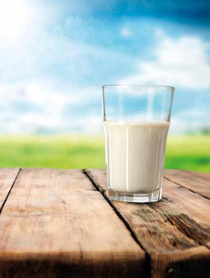 BIFI drink BIO 230
