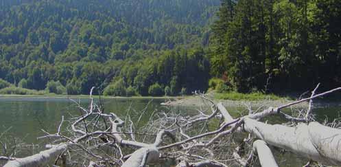 den: LE MOTTE, túry základní varianta (6 h) výjezd lanovkou k pevnosti z 1. světové války Forte di Oga (1.748 m), prohlídka, výstup k chatě Malga San Colombano (2.