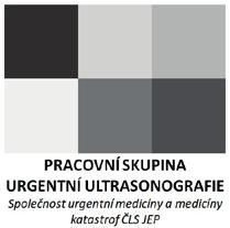 Příloha č. 2 SEKCE PRO LZS PŘI SUMMK PROGRAMOVÉ PROHLÁŠENÍ Letecká záchranná služba je již dlouhou dobu pevnou součástí systému přednemocniční neodkladné péče v České republice.