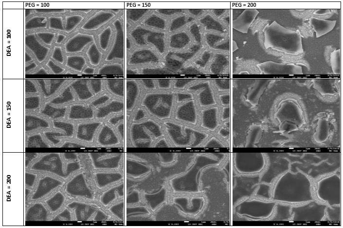 5.3 Vliv stárnutí solu na vznik porézní struktury Dle snímků ze SEM bylo zjištěno, že nově připravený roztok vykazuje výrazně větší hustotu pórů oproti starému, u kterého jsou póry rozmístěny